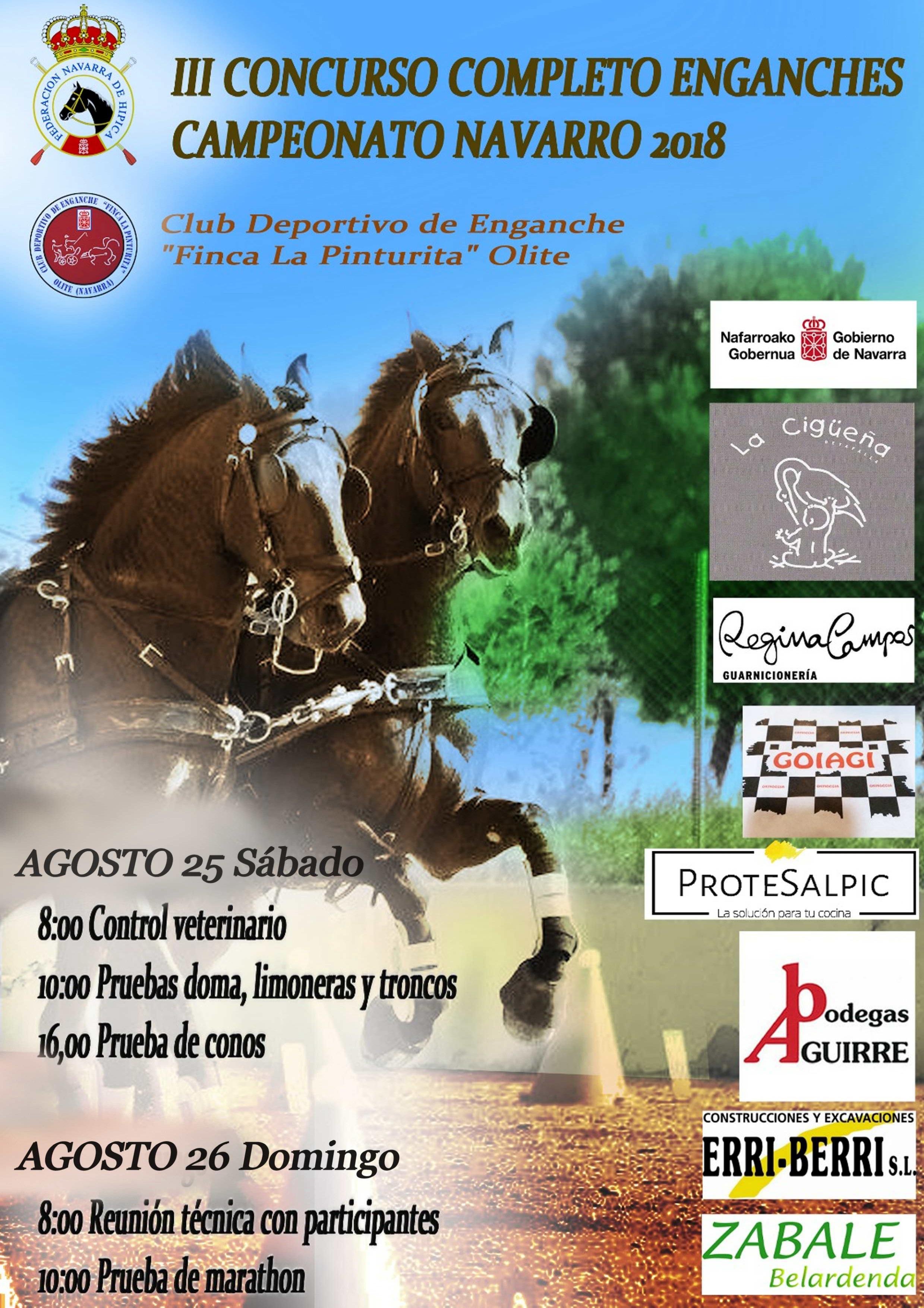 III. Concurso de Enganches Completo y Campeonato Navarro 2018 en la finca &quot;La Pinturita&quot; de Olite los d&iacute;as 25 y 26 de agosto
